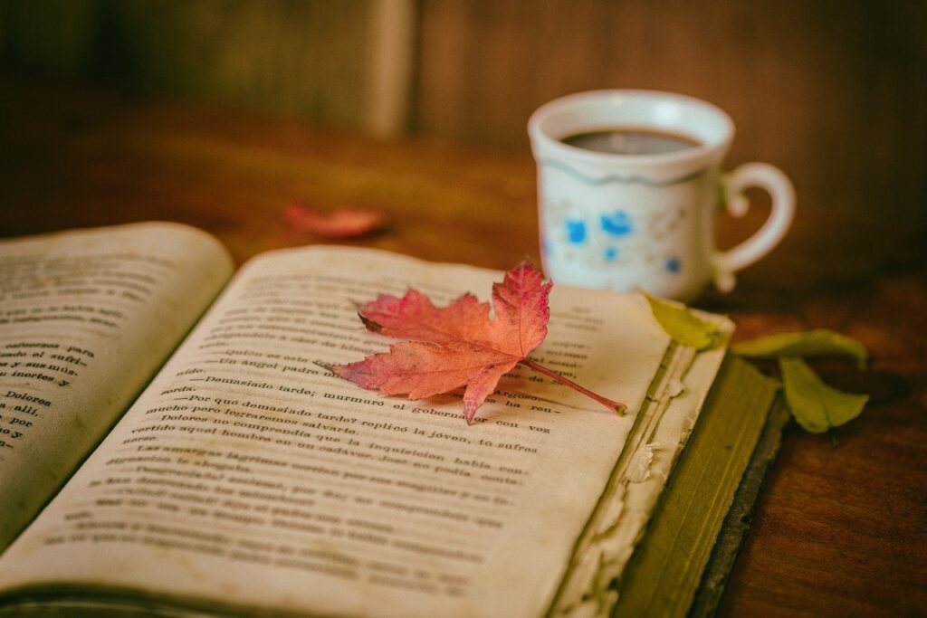 leaves, books, color